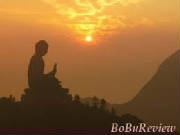 buddha-nature.jpg