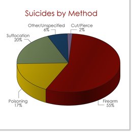 suicide-by-method-chart.jpg